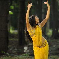 Taapsee Pannu - Mogudu movie latest spicy stills | Picture 100126